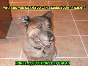 Cheap Car Insurance Zephyrhills
